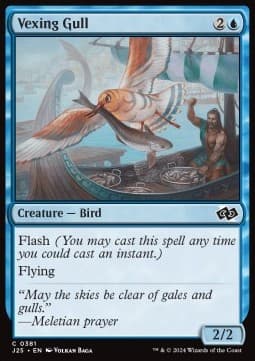 Vexing Gull
