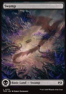Swamp