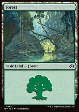 Forest