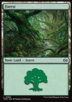 Forest