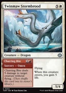 Twinmaw Stormbrood // Charring Bite