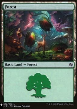 Forest