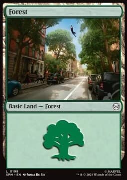 Forest