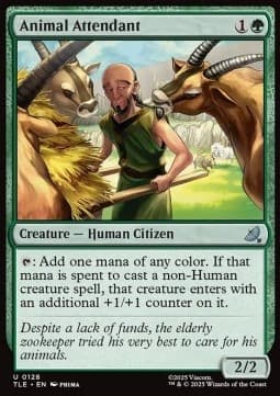 Animal Attendant