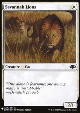 Savannah Lions
