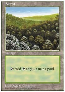Forest