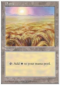 Plains