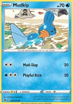 Mudkip