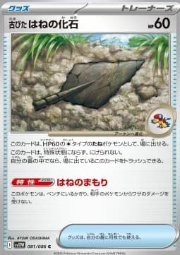 Antique Plume Fossil