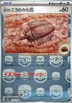 Antique Dome Fossil