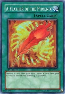 A Feather of the Phoenix