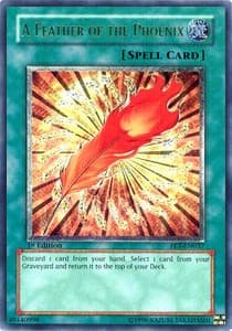 A Feather of the Phoenix