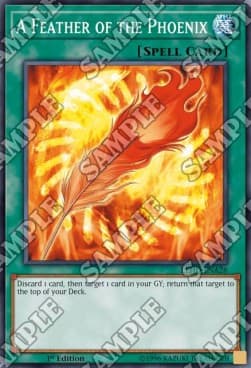A Feather of the Phoenix