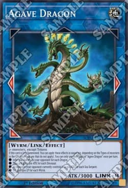Agave Dragon