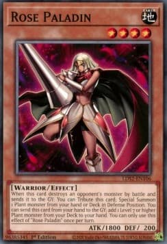Rose Paladin