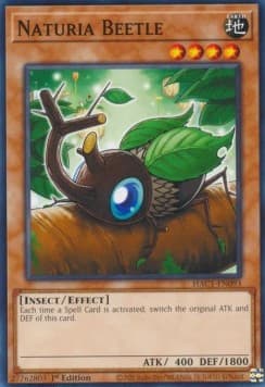 Naturia Beetle (V.1 - Common)