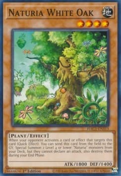 Naturia White Oak (V.1 - Common)