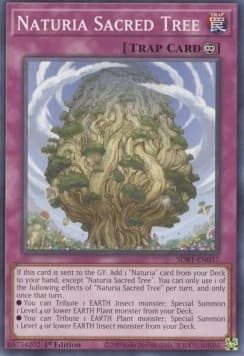 Naturia Sacred Tree