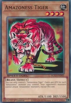 Amazone Tiger