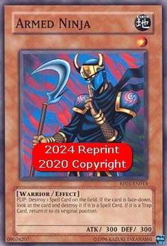 Armed Ninja