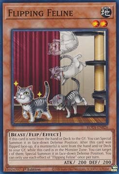 Flipping Feline